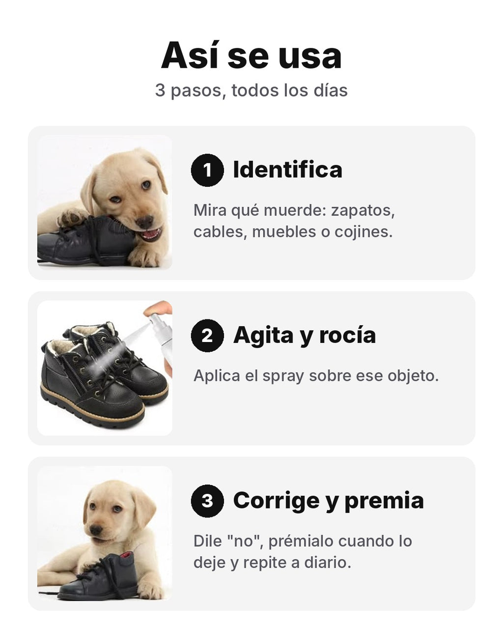 Cómo usar el spray anti-mordeduras en 3 pasos