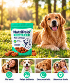 Perro feliz en el parque con NutriPelo: piel sana, pelaje brillante, descansa feliz, bienestar diario