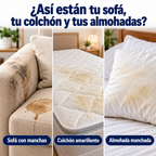 Sofá con manchas, colchón amarillento y almohada manchada