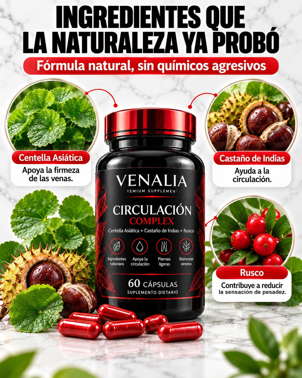 Ingredientes de VENALIA: Centella Asiática, Castaño de Indias y Rusco