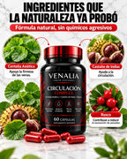 Ingredientes de VENALIA: Centella Asiática, Castaño de Indias y Rusco